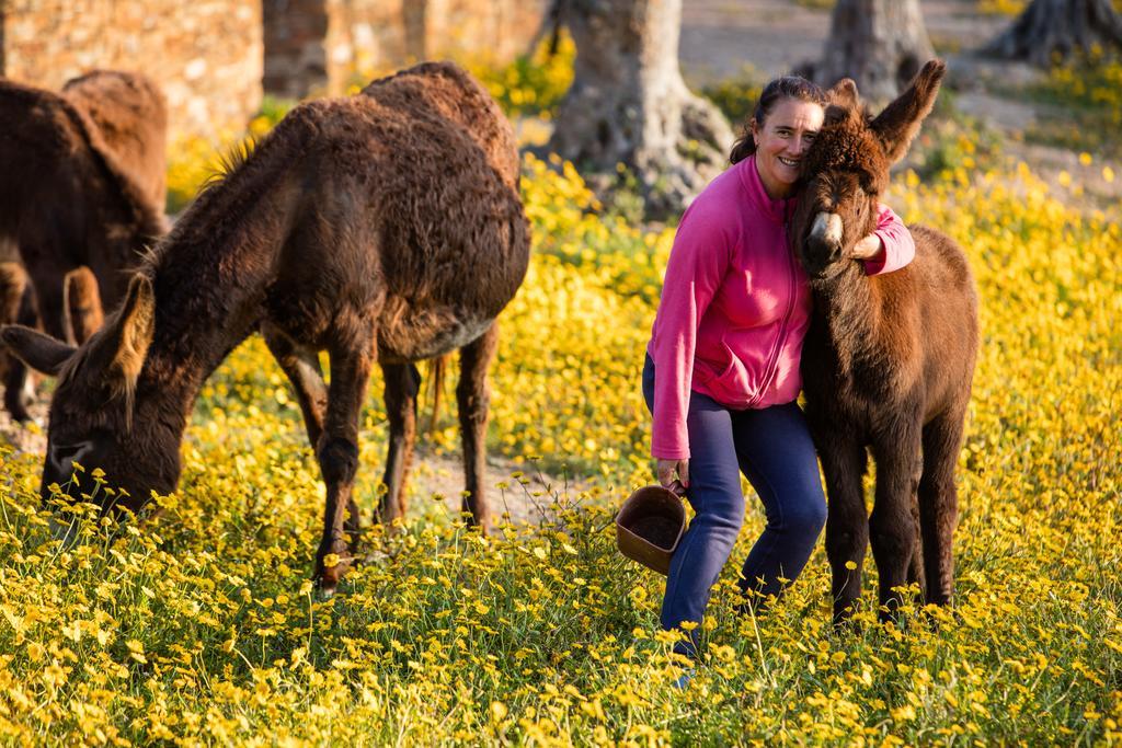 Teima, Alentejo Sw Konuk evi São Teotónio Dış mekan fotoğraf