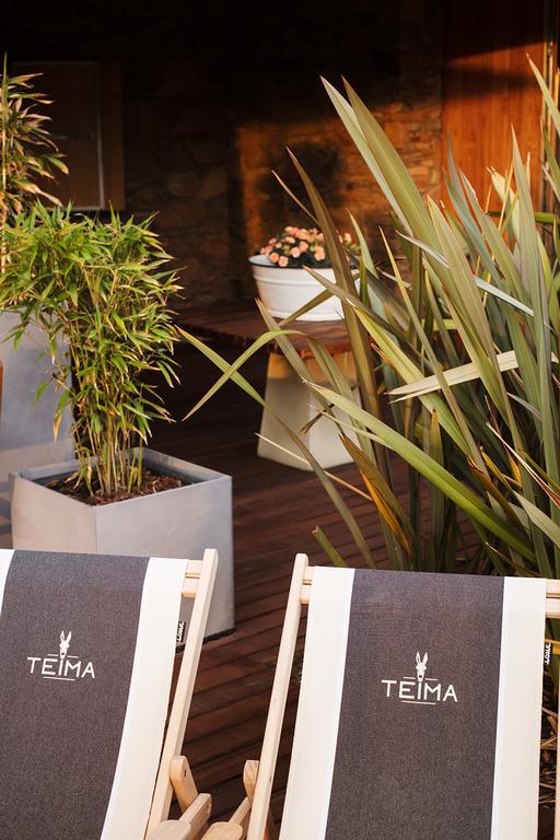 Teima, Alentejo Sw Konuk evi São Teotónio Dış mekan fotoğraf